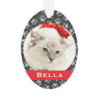 Silver Pet Paw Prints Red Custom Cat Name Photo