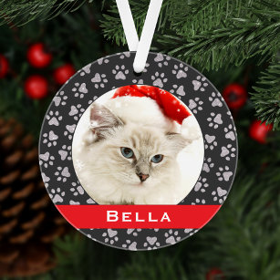 Silver Pet Paw Prints Red Custom Cat Name Photo Ornament