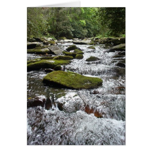 Silver Rapids Cards (Front)
