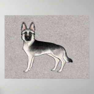 Silver Sable German Shepherd Cute Dog Illustration Poster