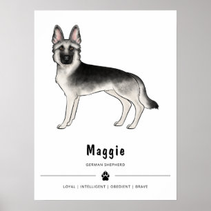 Silver Sable German Shepherd Dog And Custom Text Poster