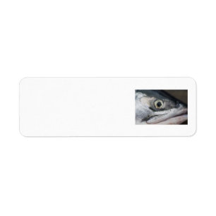 Silver Salmon Face Label