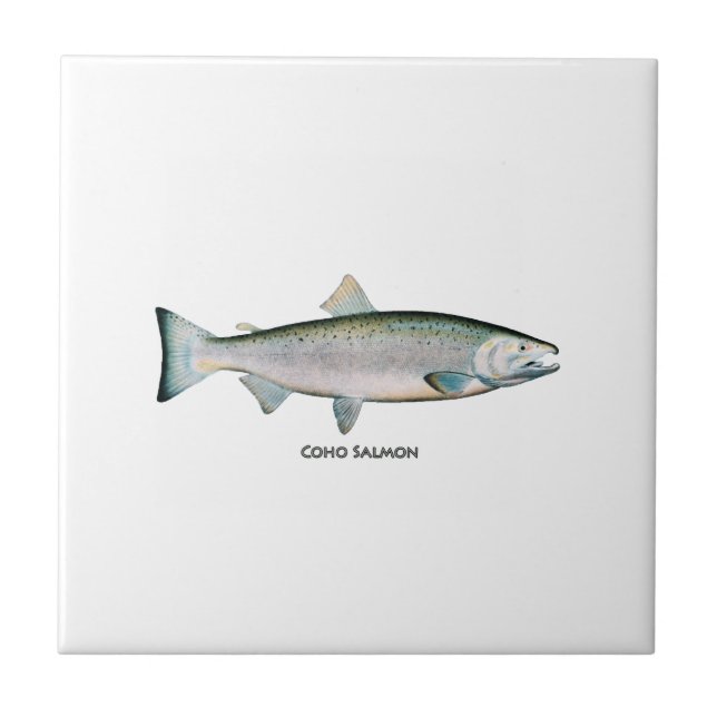 Silver Salmon (ocean phase) Tile (Front)