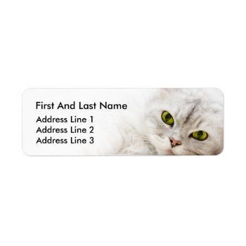 Silver Shaded Persian Label by casi_reisi at Zazzle