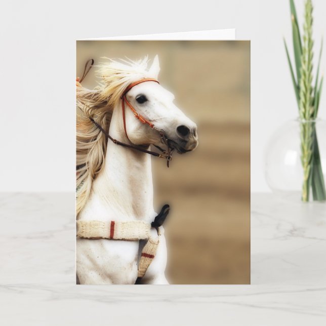 Silver Shadow Blank Inside Greeting Card (Front)