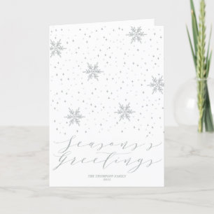Silver Snowflakes Seasons Greetings Christmas Holi Holiday Card