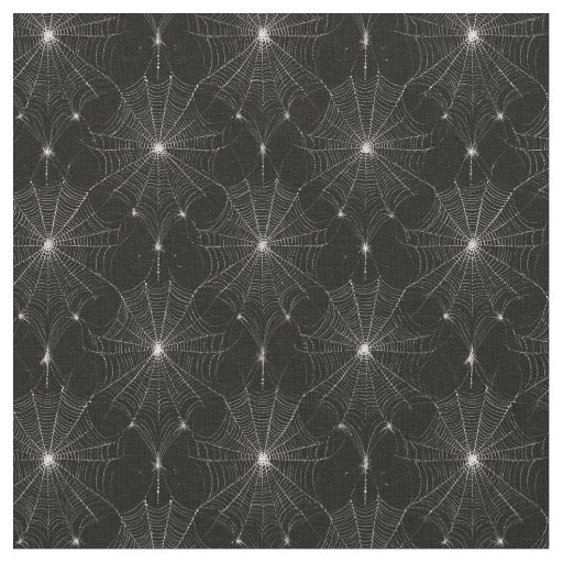 Silver Spiderweb Lace on Black  Fabric