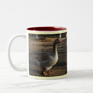 Silver Spring Waterfowl Mug "Autumn"