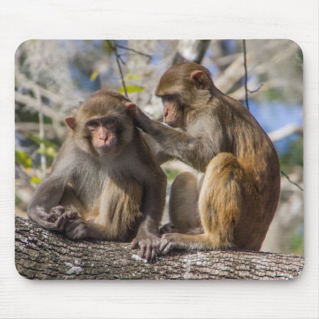 Silver Springs Monkeys Mouse Pad (Front)