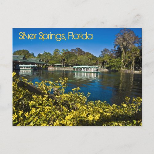 Silver Springs Nature Theme Park Florida USA Postcard