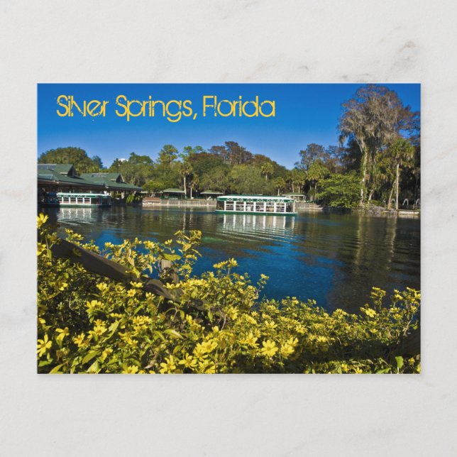 Silver Springs Nature Theme Park, Florida, U.S.A. Postcard (Front)