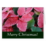 Silver Star Marble Poinsettias Christmas Card