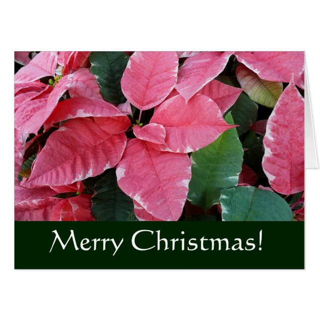 Silver Star Marble Poinsettias Christmas Card (Front Horizontal)