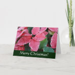 Silver Star Marble Poinsettias Christmas Card
