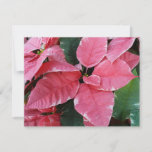 Silver Star Marble Poinsettias Pink Holiday Floral