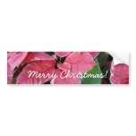 Silver Star Marble Poinsettias Pink Holiday Floral Bumper Sticker