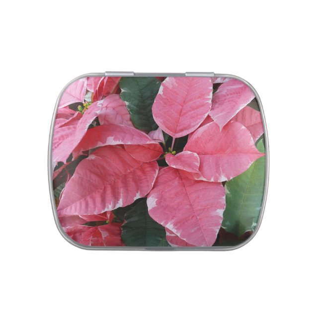 Silver Star Marble Poinsettias Pink Holiday Floral Candy Tin (Top)
