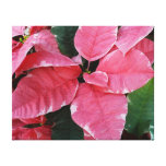 Silver Star Marble Poinsettias Pink Holiday Floral Canvas Print