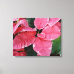 Silver Star Marble Poinsettias Pink Holiday Floral Canvas Print