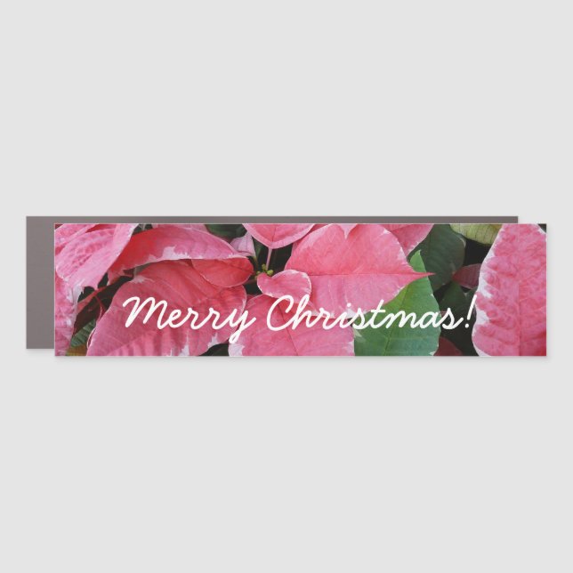 Silver Star Marble Poinsettias Pink Holiday Floral Car Magnet (Front)