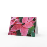Silver Star Marble Poinsettias Pink Holiday Floral Card