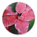 Silver Star Marble Poinsettias Pink Holiday Floral Ceramic Knob