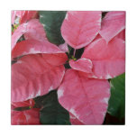 Silver Star Marble Poinsettias Pink Holiday Floral Ceramic Tile