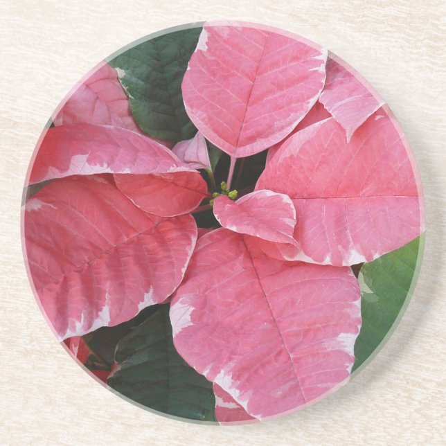 Silver Star Marble Poinsettias Pink Holiday Floral Coaster (Front)