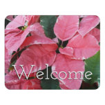 Silver Star Marble Poinsettias Pink Holiday Floral Door Sign