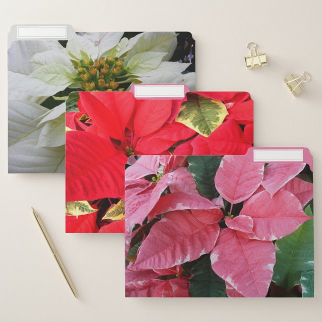 Silver Star Marble Poinsettias Pink Holiday Floral File Folder (Set)