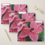 Silver Star Marble Poinsettias Pink Holiday Floral File Folder