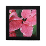 Silver Star Marble Poinsettias Pink Holiday Floral Gift Box