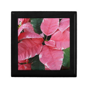 Silver Star Marble Poinsettias Pink Holiday Floral Gift Box
