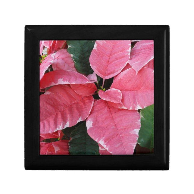 Silver Star Marble Poinsettias Pink Holiday Floral Gift Box (Front)