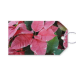 Silver Star Marble Poinsettias Pink Holiday Floral Gift Tags