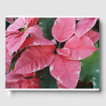 Silver Star Marble Poinsettias Pink Holiday Floral Guest Book