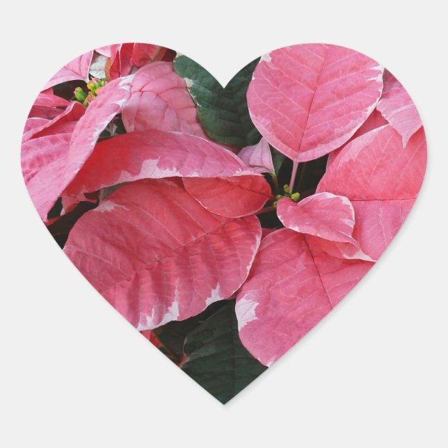Silver Star Marble Poinsettias Pink Holiday Floral Heart Sticker (Front)