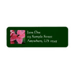 Silver Star Marble Poinsettias Pink Holiday Floral Label