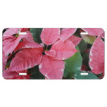 Silver Star Marble Poinsettias Pink Holiday Floral License Plate