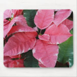 Silver Star Marble Poinsettias Pink Holiday Floral Mouse Pad