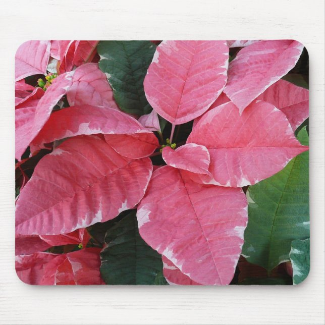 Silver Star Marble Poinsettias Pink Holiday Floral Mouse Pad (Front)