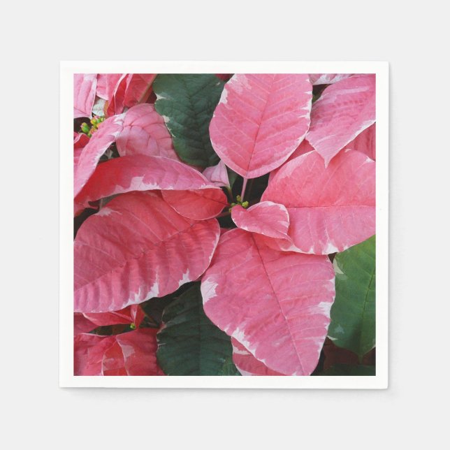 Silver Star Marble Poinsettias Pink Holiday Floral Napkins (Front)