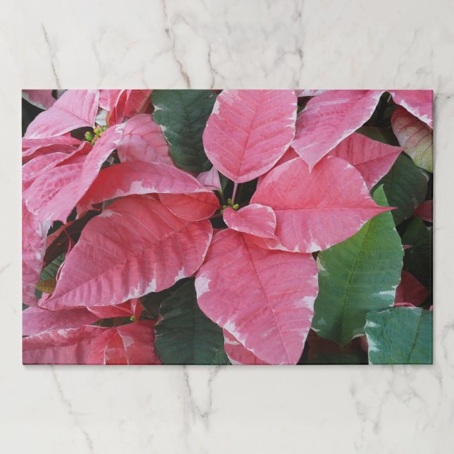 Silver Star Marble Poinsettias Pink Holiday Floral Paper Pad (Front)