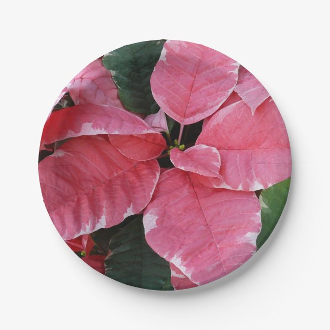 Silver Star Marble Poinsettias Pink Holiday Floral Paper Plates (Front)