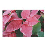 Silver Star Marble Poinsettias Pink Holiday Floral Placemat
