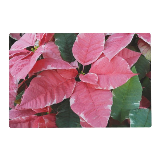 Silver Star Marble Poinsettias Pink Holiday Floral Placemat (Front)