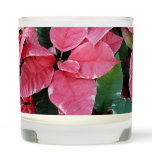 Silver Star Marble Poinsettias Pink Holiday Floral Scented Candle