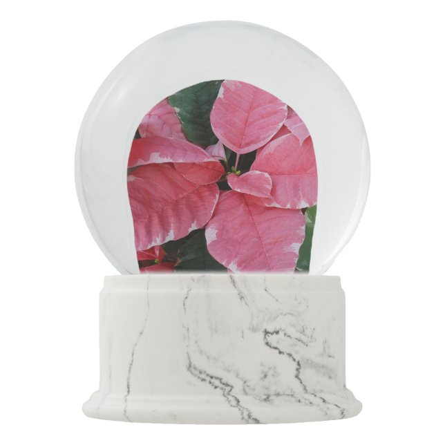 Silver Star Marble Poinsettias Pink Holiday Floral Snow Globe (Front)