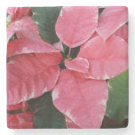 Silver Star Marble Poinsettias Pink Holiday Floral Stone Coaster