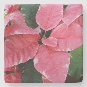 Silver Star Marble Poinsettias Pink Holiday Floral Stone Coaster